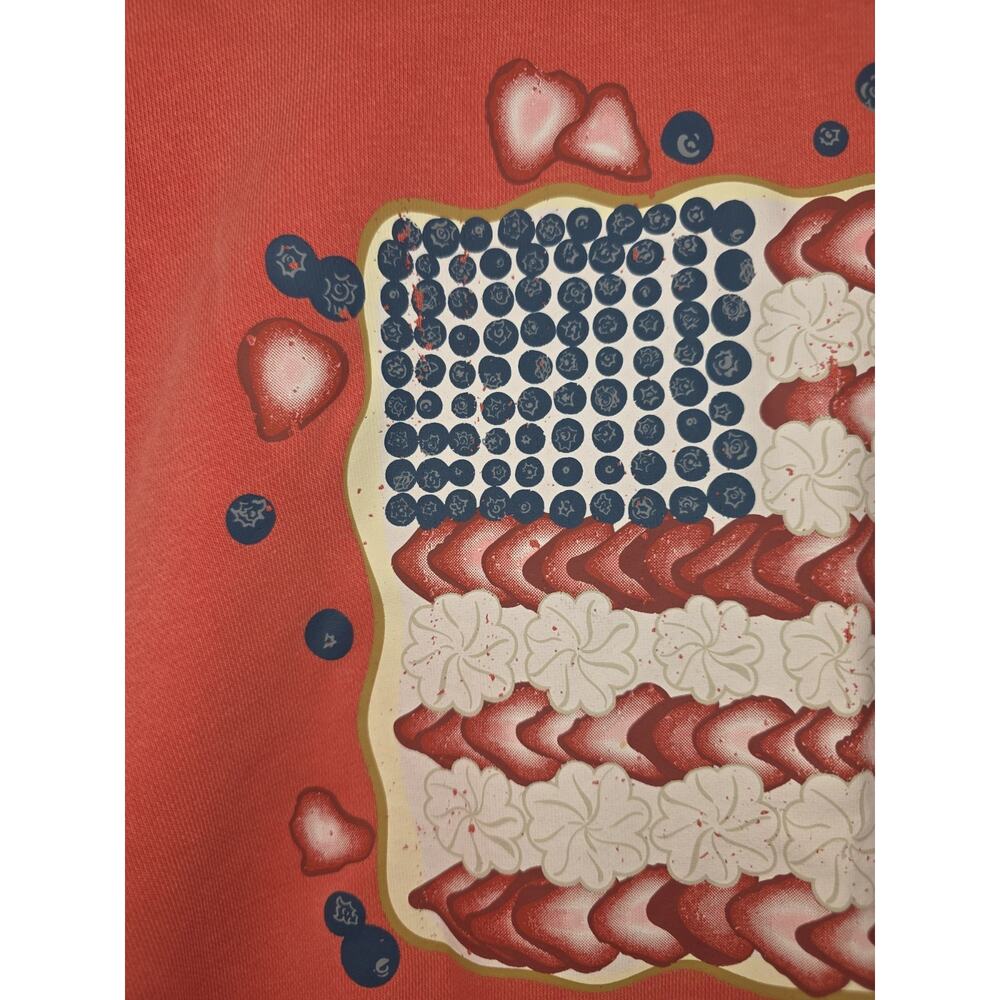 Living Fully Co. by Mallory Ervin Patriotic Flag Sweatshirt Size Medium - Picture 3 of 14